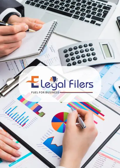 E-Legal filers